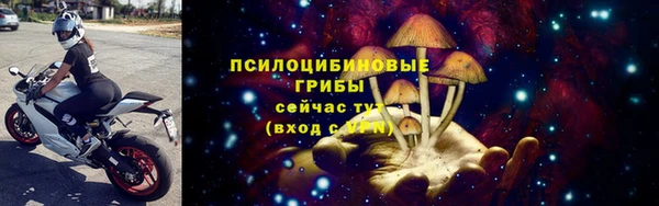 мдпв Дмитриев