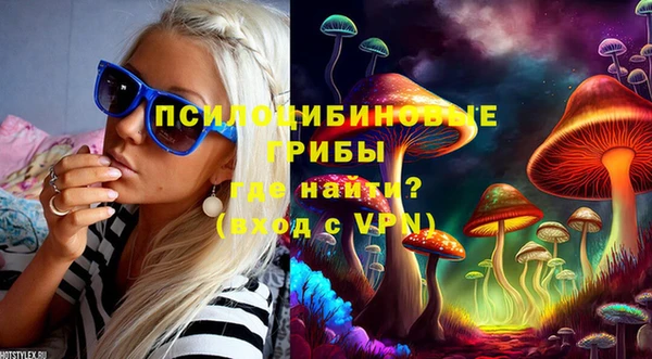 мдпв Дмитриев