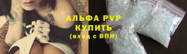 мдпв Дмитриев