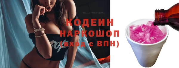 мдпв Дмитриев