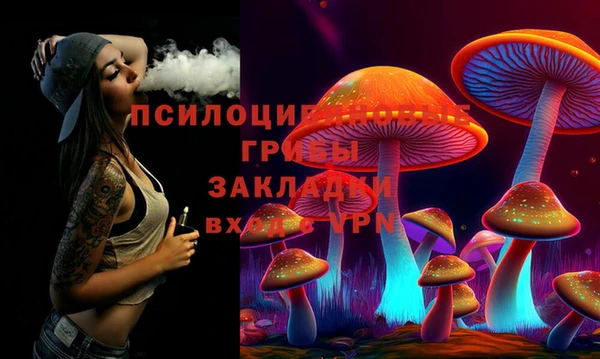 МДПВ Дмитров