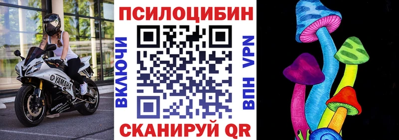 цены   Севск  KRAKEN   Галлюциногенные грибы прущие грибы 